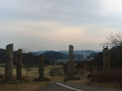 観音崎公園　花の広場